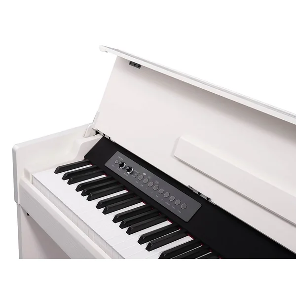 CP203 Blanc