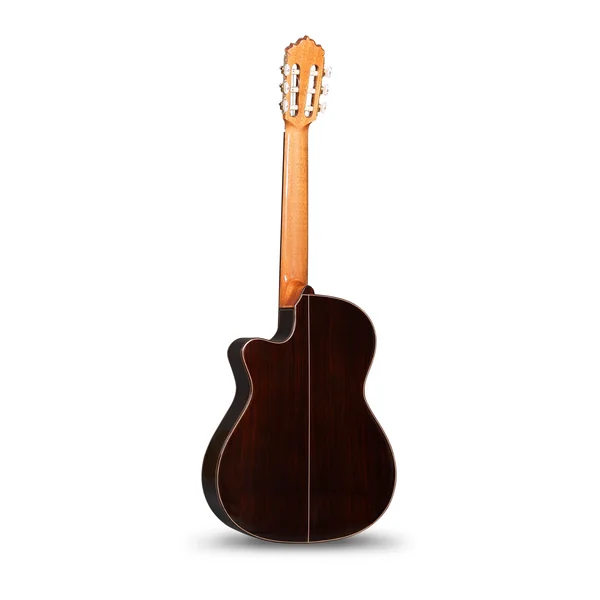 Cutaway 5P CW E8 - natural