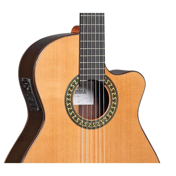 Cutaway 5P CW E8 - natural