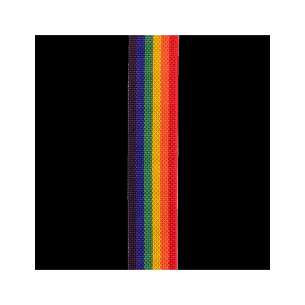 D'addario PWSAL411 auto lock polypro sangle 50mm rainbow