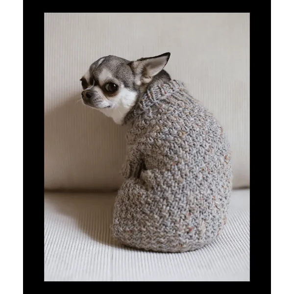 E-MODELE GRATUIT POUR CHIEN - MANTEAU POUR CHIEN - PLASSARD