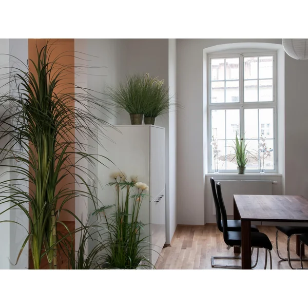 EUROPALMS Carex étoile, artificiel, 120 cm