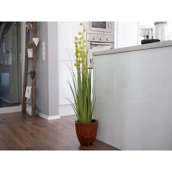 EUROPALMS Plante à pompons, artificiel, 122 cm