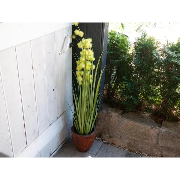 EUROPALMS Plante à pompons, artificiel, 122 cm