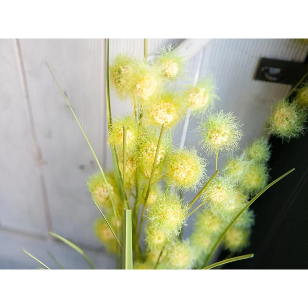 EUROPALMS Plante à pompons, artificiel, 122 cm