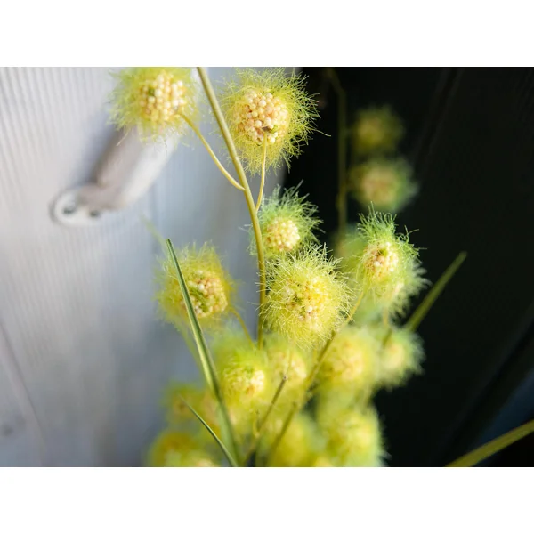 EUROPALMS Plante à pompons, artificiel, 122 cm