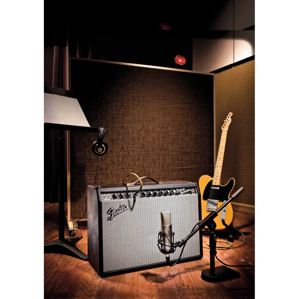 Fender 65 deluxe reverb
