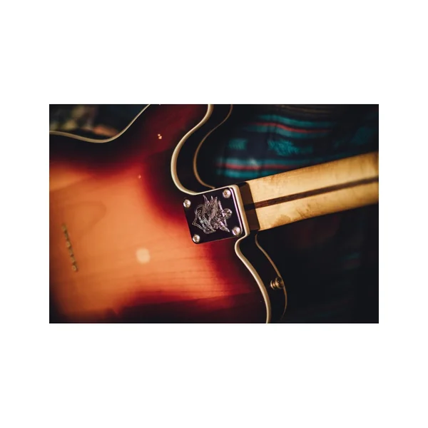 Fender Jason Isbell Custom Telecaster 3 tons chocolate burst + housse