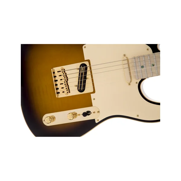 Fender Richie Kotzen Telecaster MN brown sunburst
