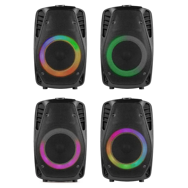 Fenton FT8LED - Enceinte Sono Portable LEDs avec Batterie – 300 Watts