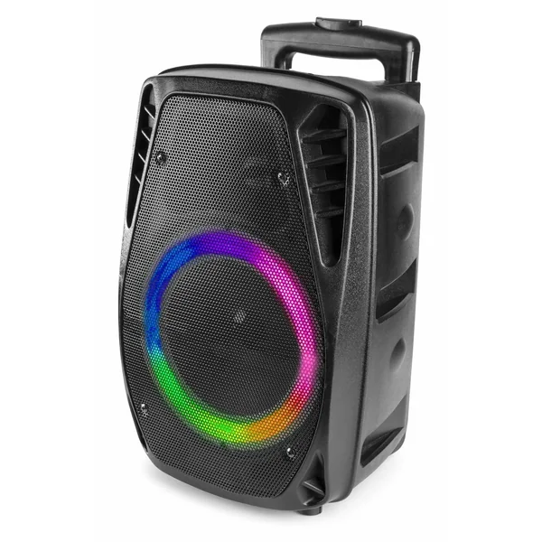 Fenton FT8LED - Enceinte Sono Portable LEDs avec Batterie – 300 Watts