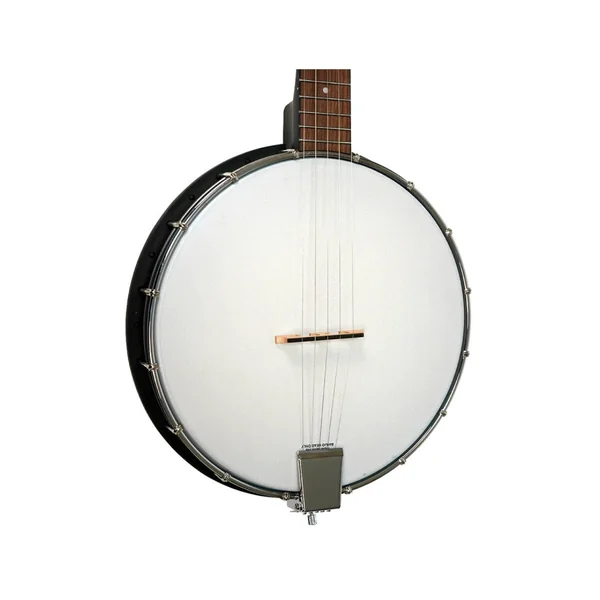 Gold Tone AC-1 banjo 5 string openback + housse