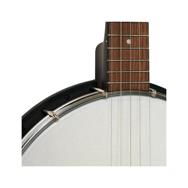 Gold Tone AC-1 banjo 5 string openback + housse