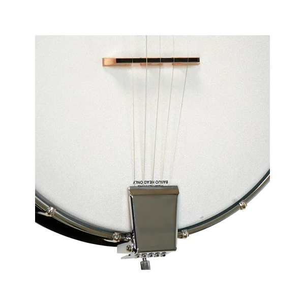 Gold Tone AC-1 banjo 5 string openback + housse