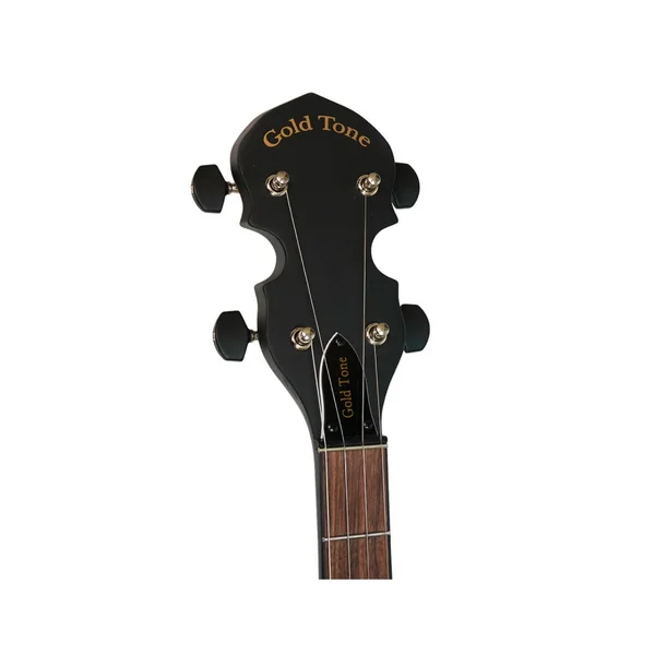 Gold Tone AC-1 banjo 5 string openback + housse