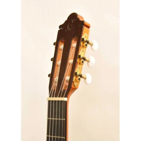 Guitare Classique Electro Camps NAC-4-C Cèdre / Ziricote