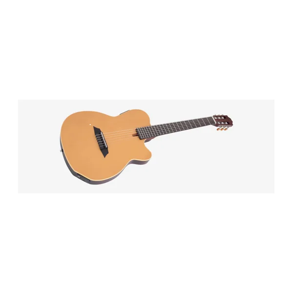 Guitare Classique Electro LARRY CARLTON by Sire G5N NT.S