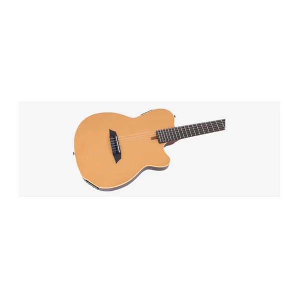 Guitare Classique Electro LARRY CARLTON by Sire G5N NT.S