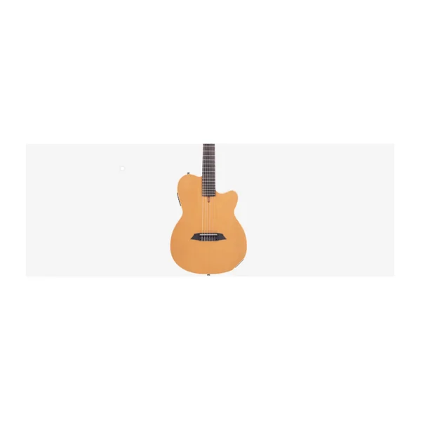 Guitare Classique Electro LARRY CARLTON by Sire G5N NT.S