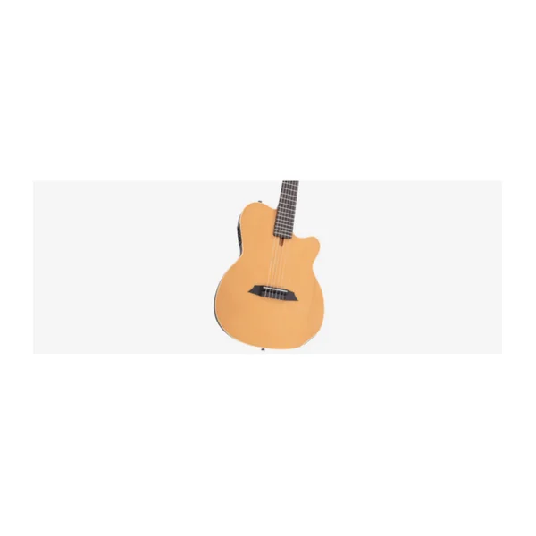 Guitare Classique Electro LARRY CARLTON by Sire G5N NT.S