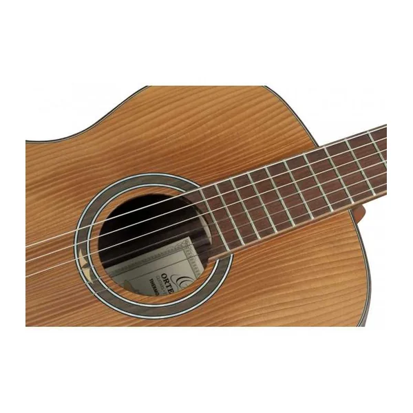 GUITARE CLASSIQUE ORTEGA THERMO, EPICEA