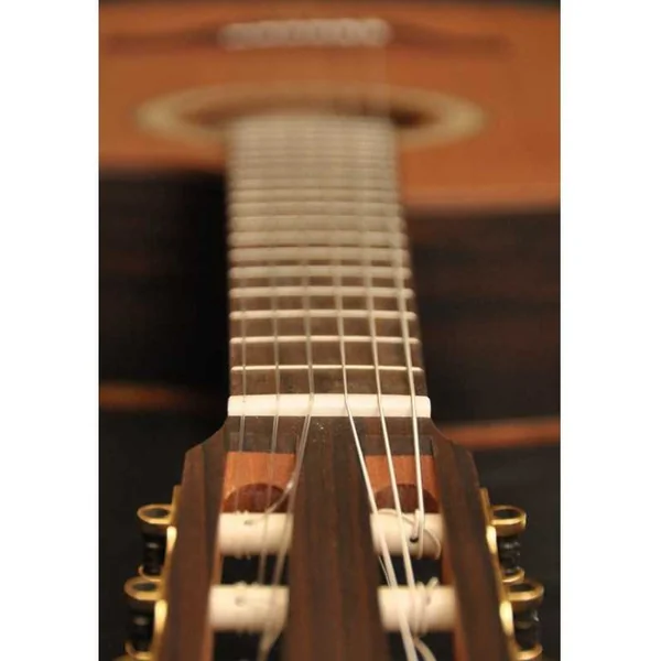 Guitare Crossover Electro Camps CW-1-C Cèdre / Ziricote