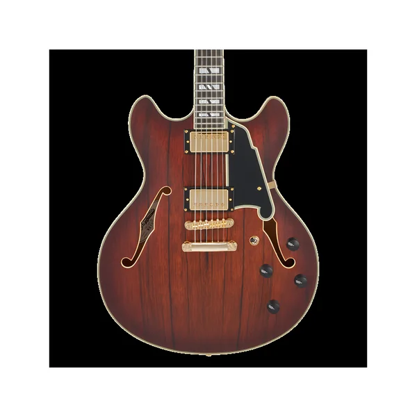 Guitare Electrique D'ANGELICO DC Satin Brown Burst