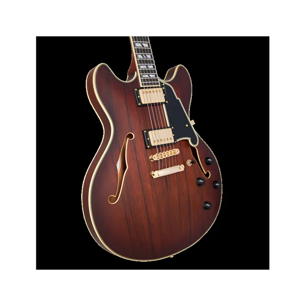 Guitare Electrique D'ANGELICO DC Satin Brown Burst