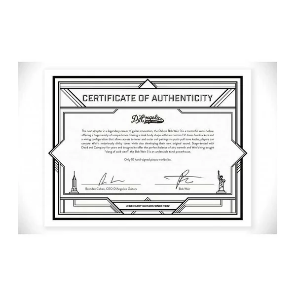 Guitare Electrique D'ANGELICO Deluxe Bob Weir Signature Matte Stone