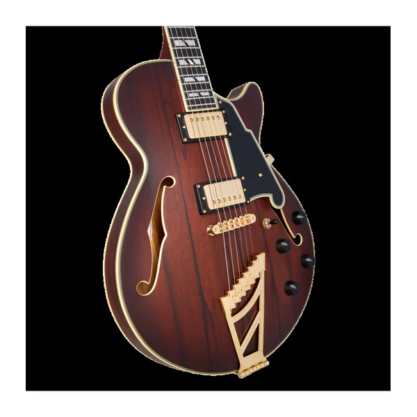 Guitare Electrique D'ANGELICO Deluxe SS Satin Brown Burst