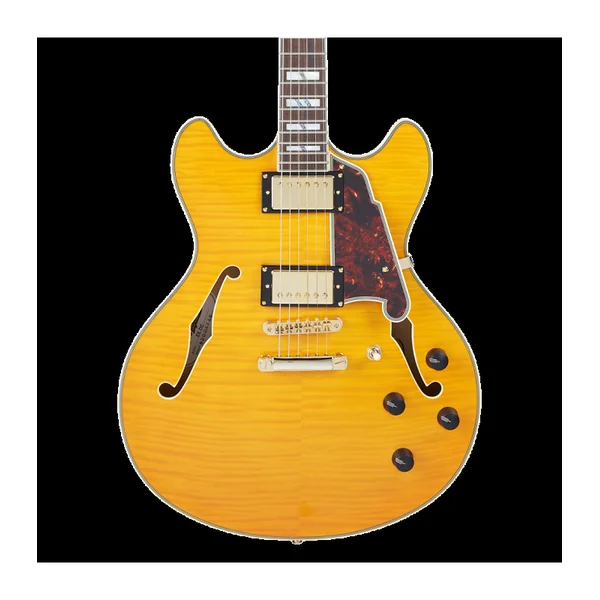 Guitare Electrique D'ANGELICO Excel DC Vintage Natural
