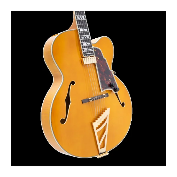 Guitare Electrique D'ANGELICO Excel EXL-1 Amber