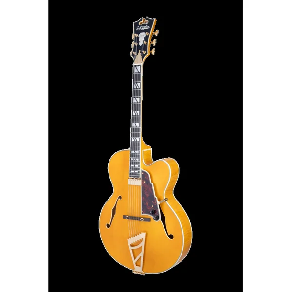 Guitare Electrique D'ANGELICO Excel EXL-1 Amber