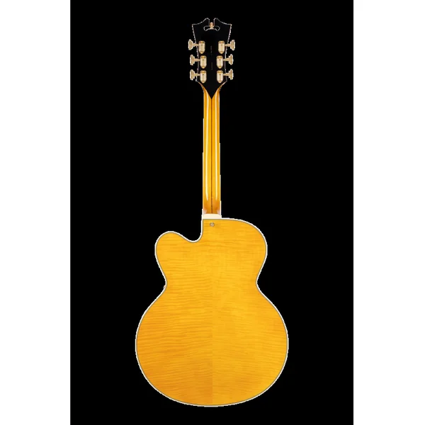 Guitare Electrique D'ANGELICO Excel EXL-1 Amber