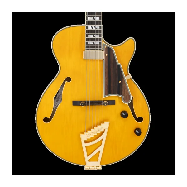 Guitare Electrique D'ANGELICO EXCEL SS SOHO Amber