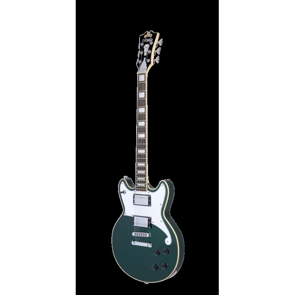 Guitare Electrique D'ANGELICO PREMIER BRIGHTON Sherwood Green
