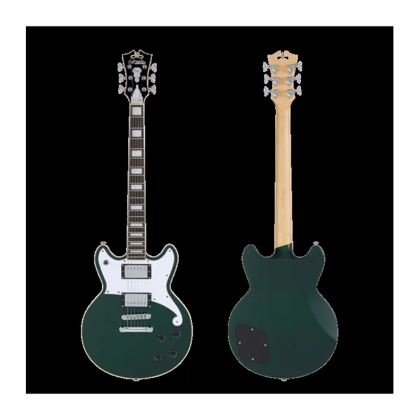 Guitare Electrique D'ANGELICO PREMIER BRIGHTON Sherwood Green