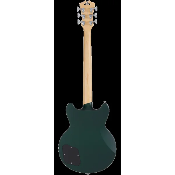 Guitare Electrique D'ANGELICO PREMIER BRIGHTON Sherwood Green