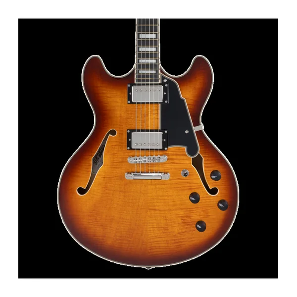 Guitare Electrique D'ANGELICO PREMIER DC DARK ICED TEA BURST