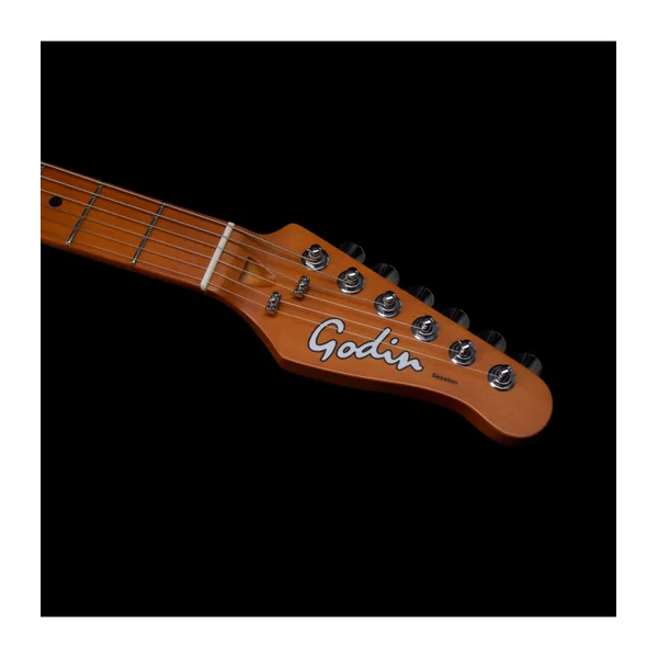 Guitare Electrique GODIN Session T-Pro Arctik Blue MN + housse