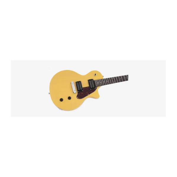 Guitare Electrique LARRY CARLTON by Sire L3 HH TVY SC RN
