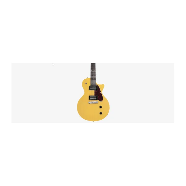 Guitare Electrique LARRY CARLTON by Sire L3 HH TVY SC RN