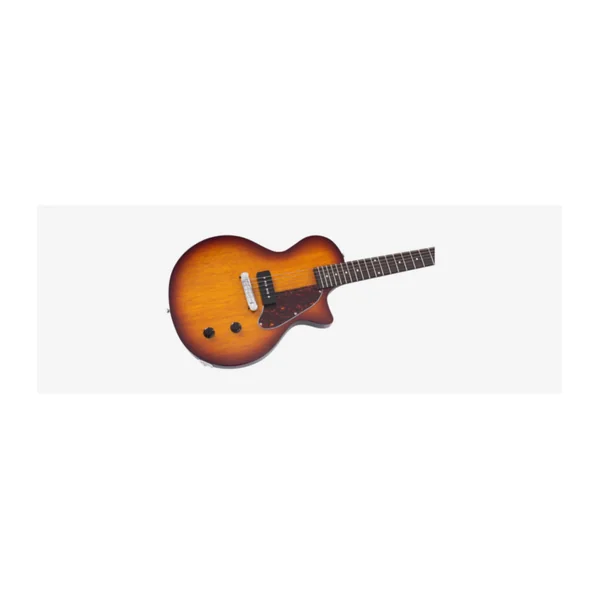 Guitare Electrique LARRY CARLTON by Sire L3 P90 TS SC RN