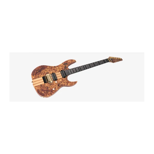 Guitare Electrique LARRY CARLTON by Sire X10 NT.S DC RN