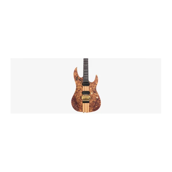 Guitare Electrique LARRY CARLTON by Sire X10 NT.S DC RN