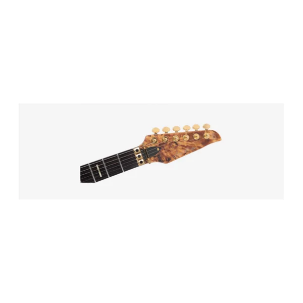 Guitare Electrique LARRY CARLTON by Sire X10 NT.S DC RN