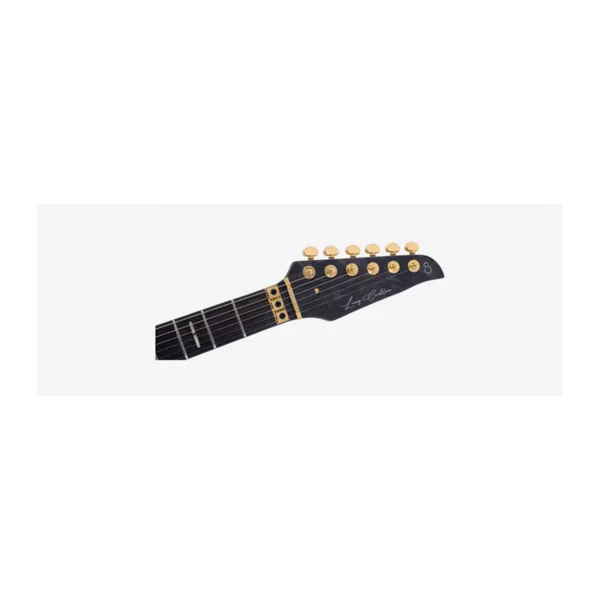 Guitare Electrique LARRY CARLTON by Sire X10 TBK.S DC RN