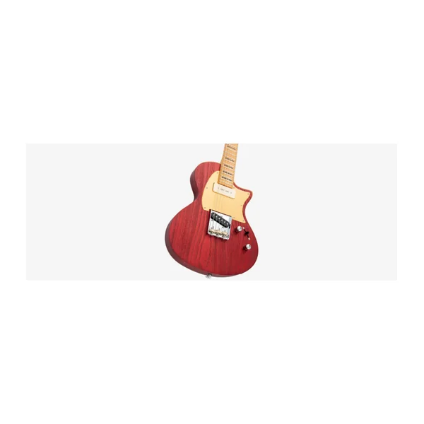 Guitare Electrique LARRY CARLTON I5T CAR