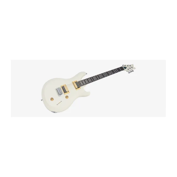 Guitare Electrique LARRY CARLTON Q3 AWH