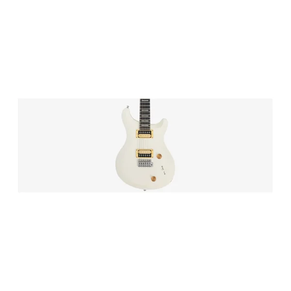 Guitare Electrique LARRY CARLTON Q3 AWH